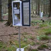 cosmic.ray.jpg cosmic.ray.jpg